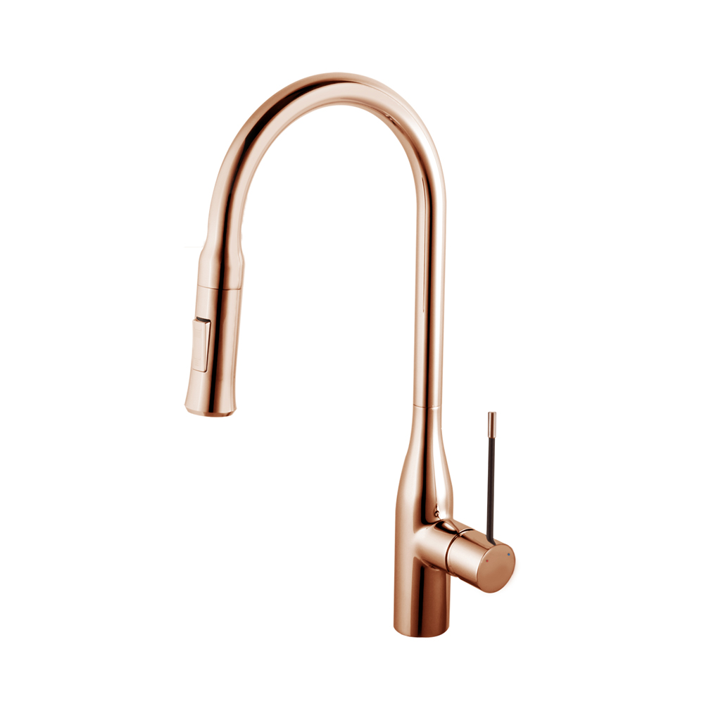 TO670RG - Torino köögisegisti XXL väljatõmmatava otsikuga